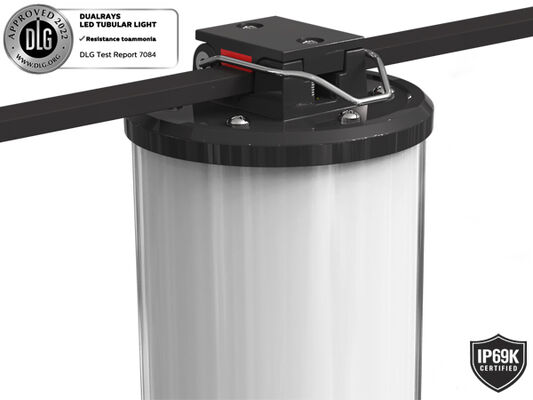 Série luz exterior e interna 160LMW 5ft de 50W de Dualrays D2 do diodo emissor de luz tri da prova do diodo emissor de luz do sarrafo por muito tempo