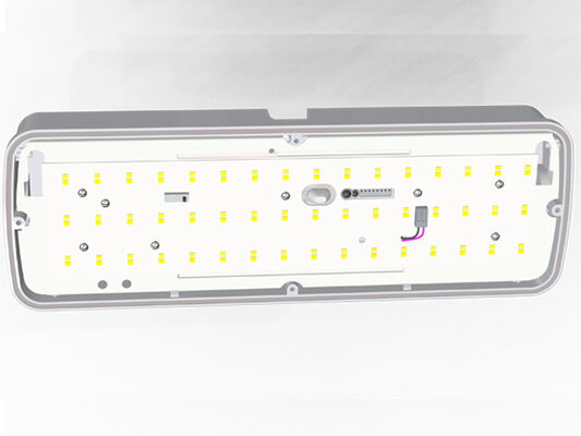 Lâmpada LED para varanda Bulk Head 8W com 3CCT e alimentação comutável