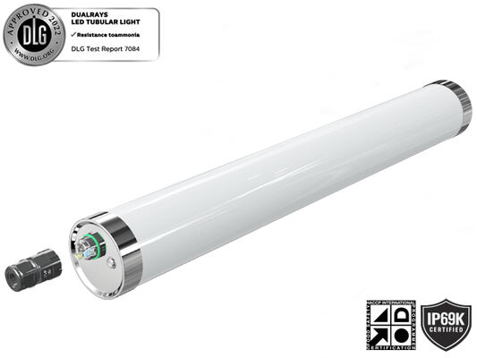 luz da prova do tempo do diodo emissor de luz da saída de 80W 15000mm com proteção IP65