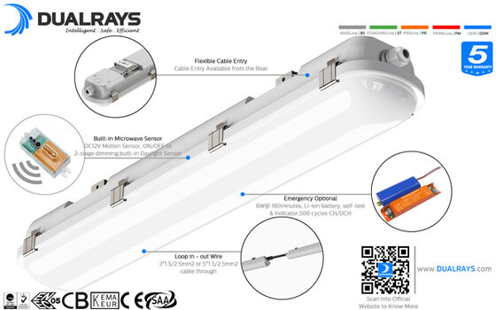 D1H IP66/IK10 LED luminária à prova de umidade com 3*1,5mm2 | 5*1,5mm2 | 3*2,5mm2 | 5*2,5mm2 fios para opção