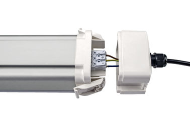 Dualrays D5 50W 5 ft de eficiência à prova de explosões conduzida Epistar das luzes 160lmw do diodo emissor de luz da tri luz IP66 IK10 da prova