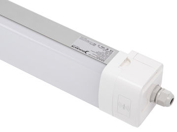 Luz 160lmw do diodo emissor de luz da prova da série 50w 5ft Ip66 Ik10 de Dualrays D5 tri com 5 da garantia 50000hours anos de período de longa vida