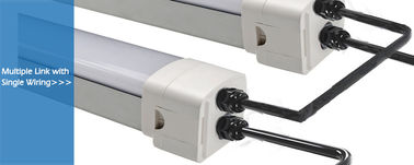 Os encaixes da luz da prova do vapor do diodo emissor de luz de DUALRAYS D5 com curvatura projetam o Fim-tampão rapidamente conveniente abrir e trancar para prender