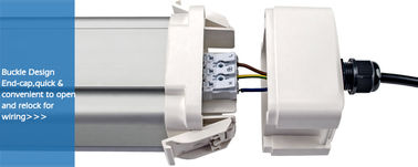 Os encaixes da luz da prova do vapor do diodo emissor de luz de DUALRAYS D5 com curvatura projetam o Fim-tampão rapidamente conveniente abrir e trancar para prender
