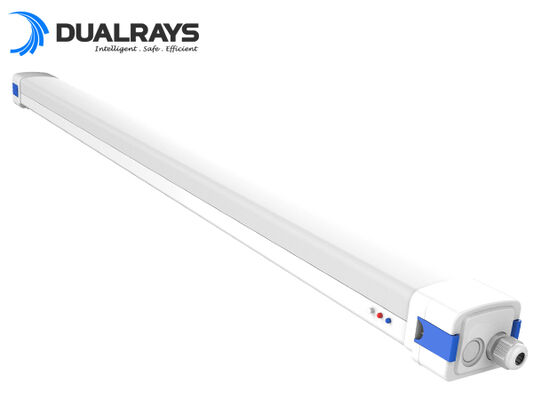 Luz LED D5 de 5 pés / 62 W à prova de umidade com potência comutável DIP / eficiência 3CCT 160LPW 5 anos de garantia