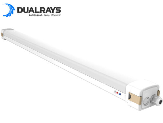 Luz IP65 da prova do diodo emissor de luz da emergência tri nenhuns metais pesados tóxicos 5 anos de garantia